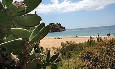 Platja de Castell, Palamós